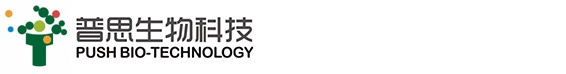宝马bm1122线路顶级